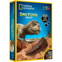 Juego de National Geographic Dino Fossil Dit Kit Stem Und