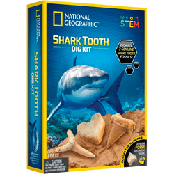Juego de National Geographic Shark Tooth Dig Kits Tem Und