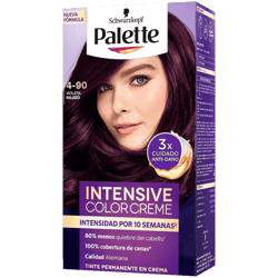 Tinte Palette Violeta Rojizo cc kit 4-90 rl-21