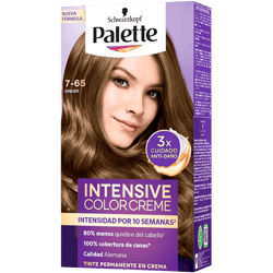 Tinte Palette Ginger 7-65