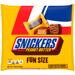 Chocolate Snickers Peanut Butter Squared Fun Size 326g