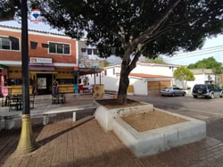 Fondo de Comercio en La Asunción Municipio Arismendi